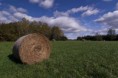 /album/kozinec-2009-na-samote-u-lesa-a-dvou-psu/a091003-kozinec-354-jpg/